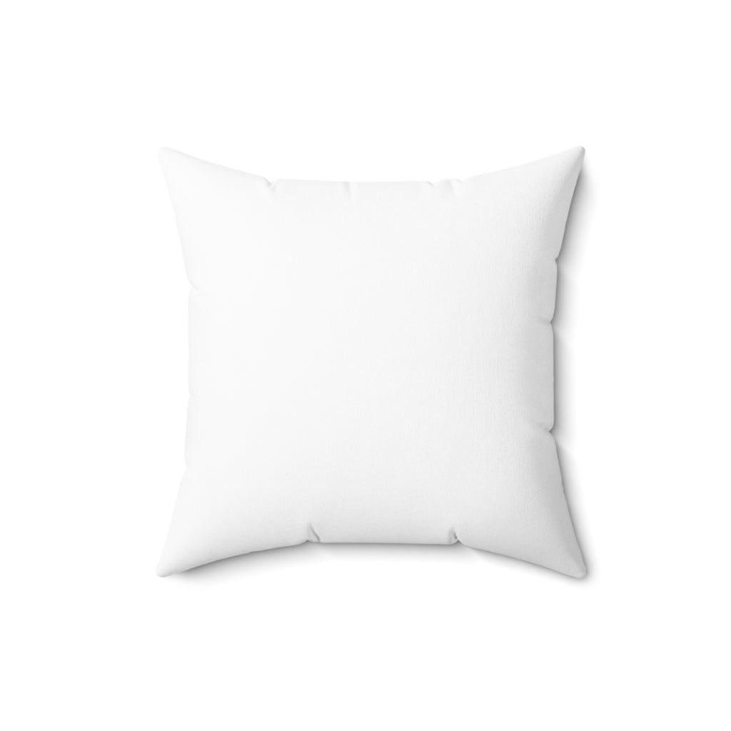 Decorative Pillow for Cat Lover: My Cat Pays No Rent