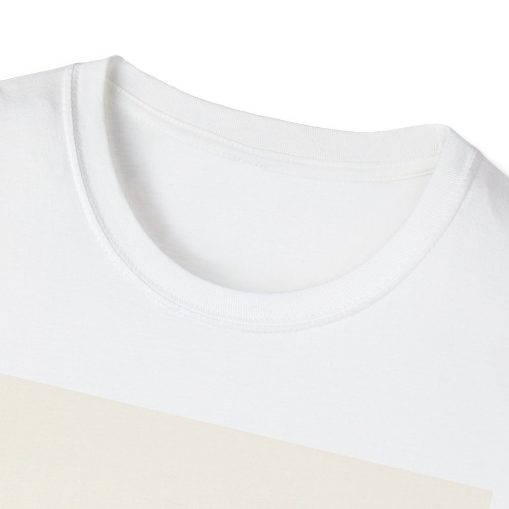 Fathers Day Gift: Worlds Okayest Dad T-Shirt for Men